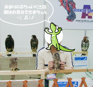 ※一般の方は、柵の内側には入れませんので御了承ください